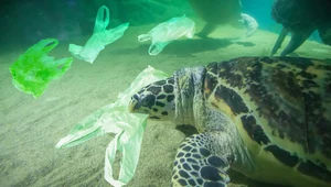 To miał być koniec plastiku. Propozycja redukcji odpadów utknęła