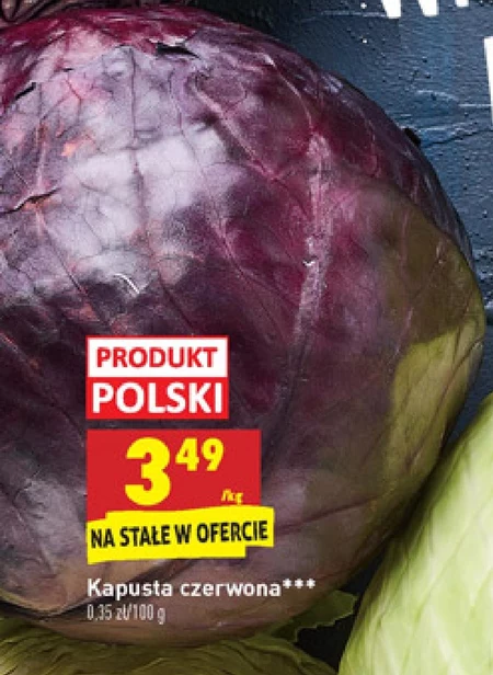 Kapusta czerwona