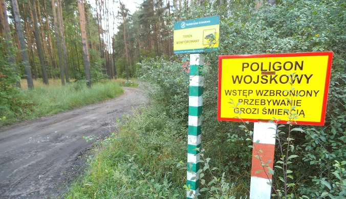 Z prędkością światła, na wysokości lamperii. Tak niszczą człowieka 