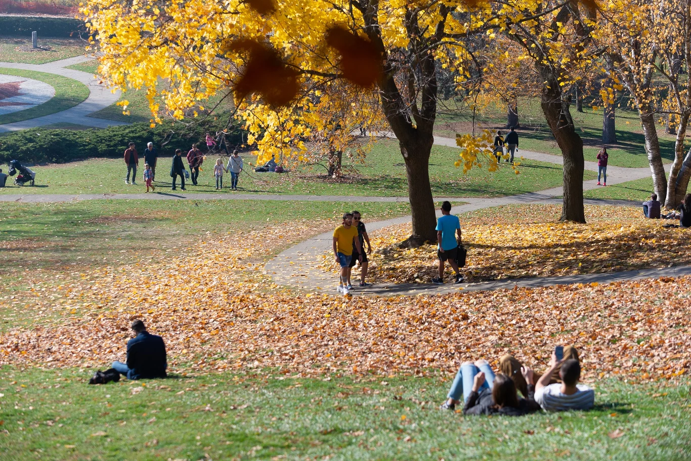 Natura ma zbawienny wpływ na zdrowie człowieka. Jeśli jednak poświęcimy zieleń na rzecz aut, życie w miastach będzie udręką Natura ma zbawienny wpływ na zdrowie człowieka. Jeśli jednak poświęcimy zieleń na rzecz aut, życie w miastach będzie udręką