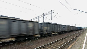 Pociąg towarowy wypadł z torów. Ruch utrudniony/ Zdj. ilustracyjne