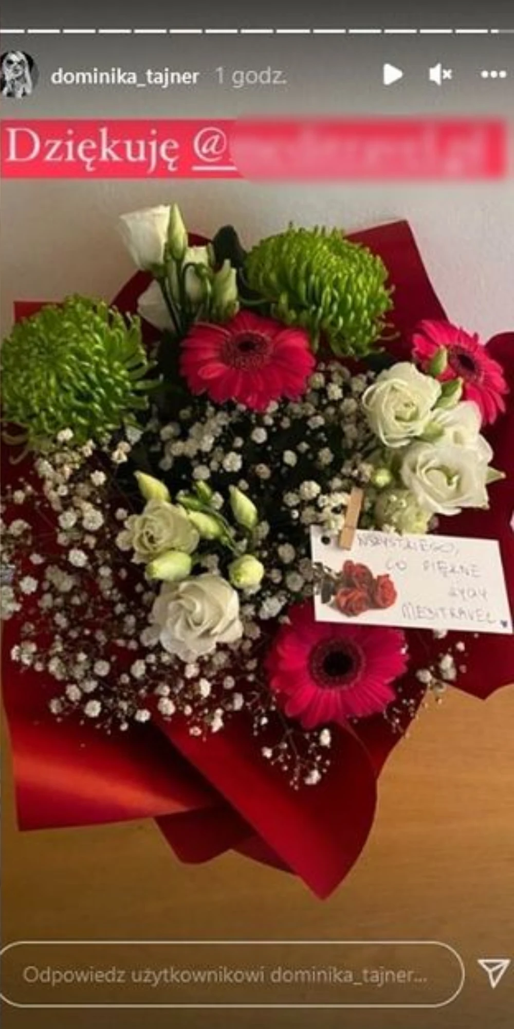 https://www.instagram.com/dominika_tajner/