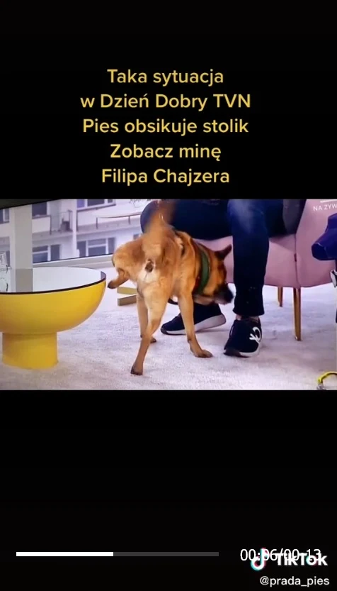 Nagranie z DDTVN stało się hitem sieci, zwłaszcza na TikToku Nagranie z DDTVN stało się hitem sieci, zwłaszcza na TikToku