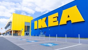 Ikea zawiesza działalność w Rosji i Białorusi. Ludzie w popłochu robią zakupy