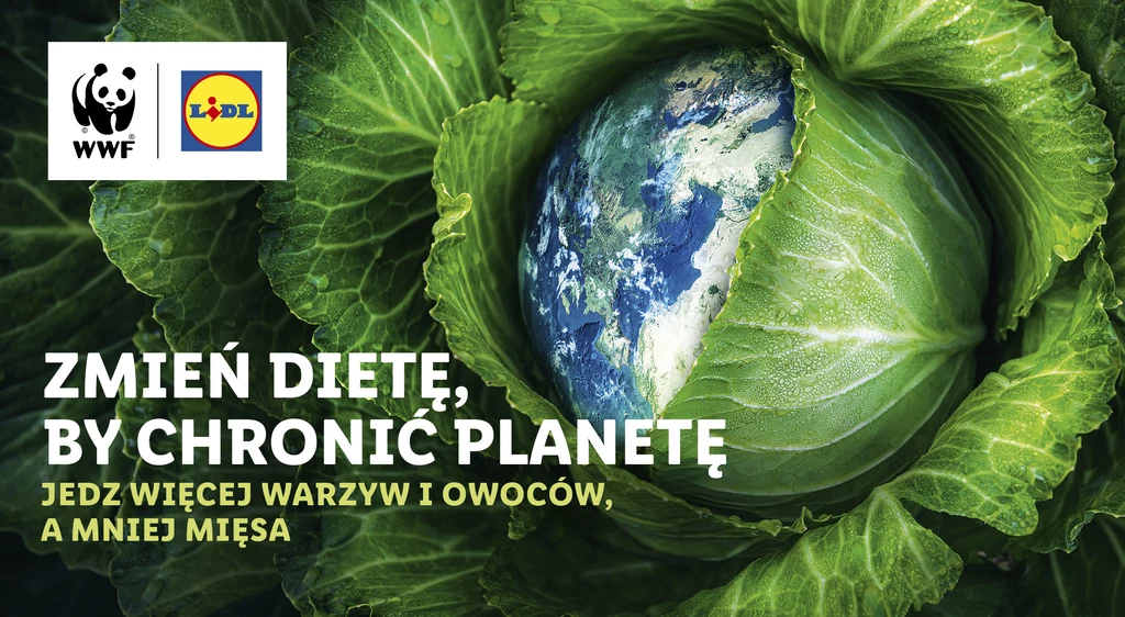 Chroń planetę po prostu robiąc obiad 