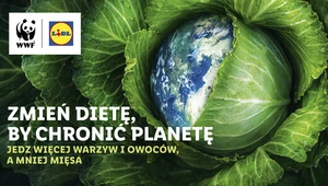 Chroń planetę po prostu robiąc obiad 