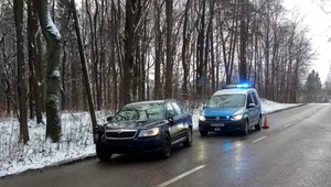 Kierowca Skody miał niemal 3 promile alkoholu