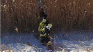 Zdjęcie ilustracyjne/Strażacy wyciągnęli mężczyznę, który topił się w stawie