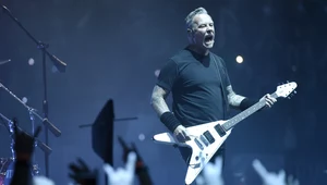 Metallica i inne zespoły wykorzystują psy wykrywające COVID-19 na koncertach