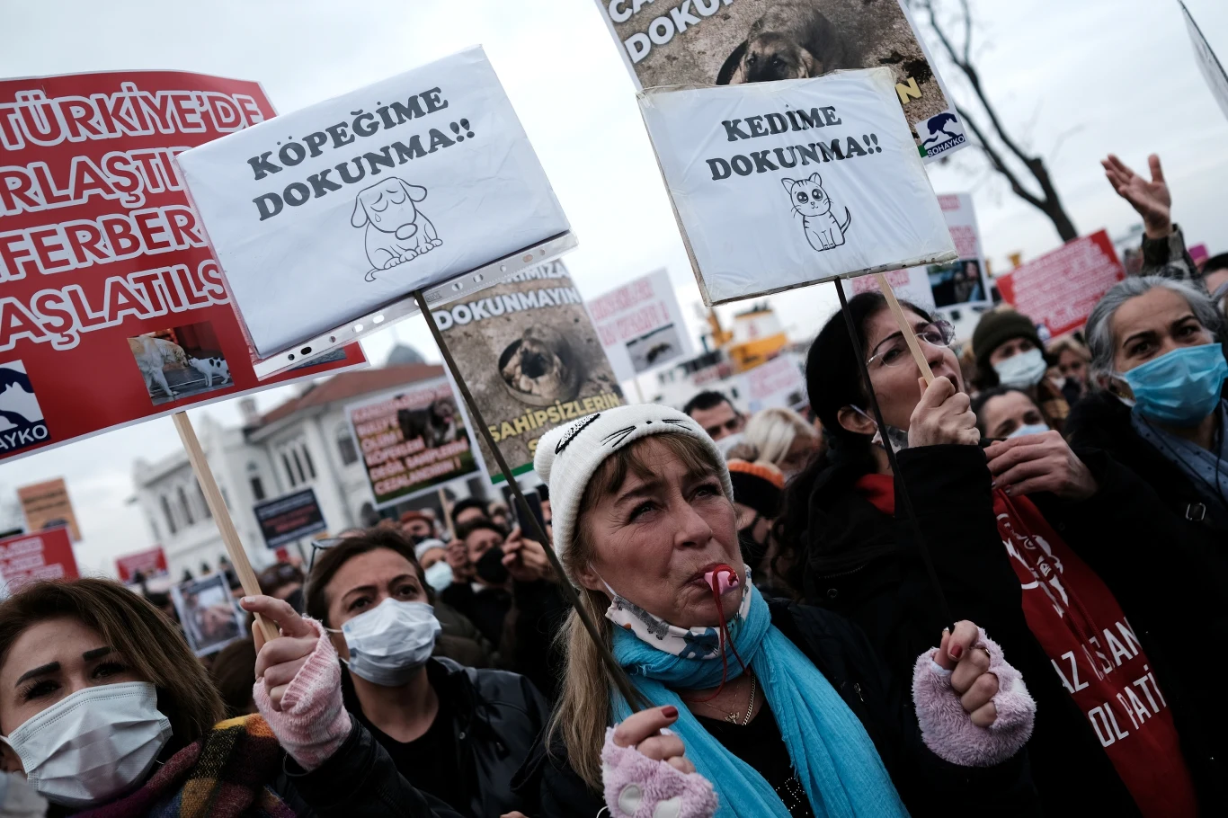 Demonstranci protestowali przeciwko polityce Erdogana transparentami m.in. "Nie dotykaj mojego psa!" i "Nie dotykaj mojego kota!"