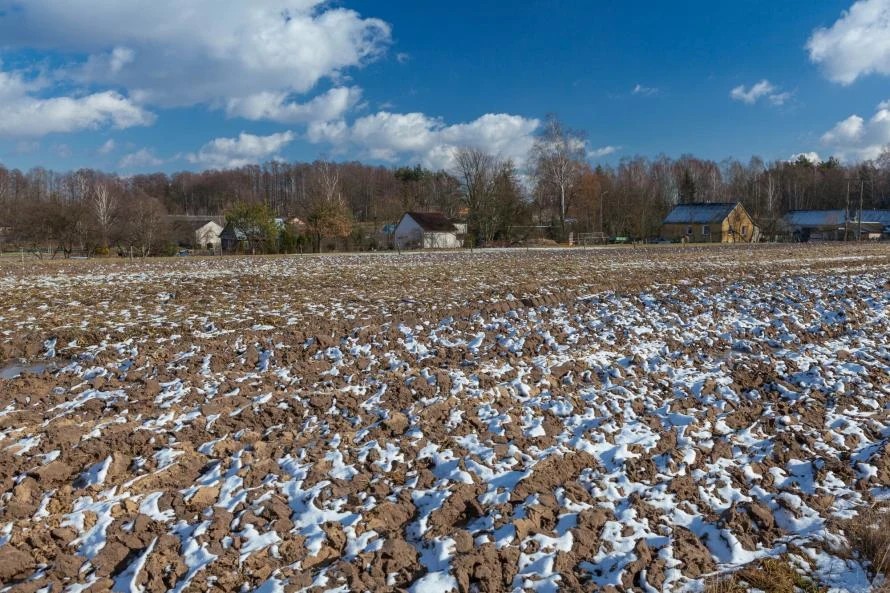 Tarcza Antyinflacyjna 2.0. Mateusz Morawiecki zapowiedział zerowy VAT na nawozy