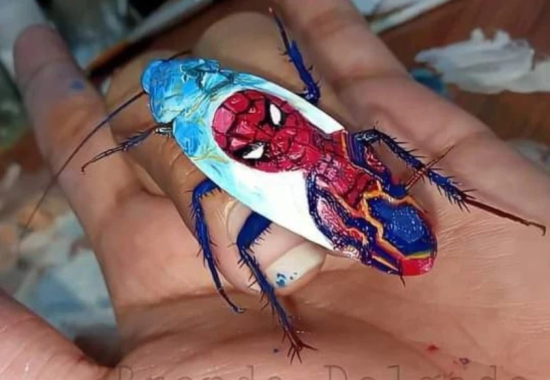 Niecodziennie widuje się obrazy na karaluchach Niecodziennie widuje się obrazy na karaluchach