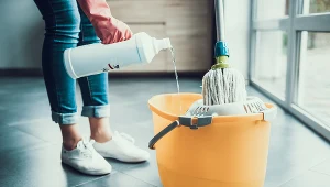 Właściciele milionów mieszkań i domów w Niemczech zatrudniają do sprzątania osoby bez ubezpieczenia społecznego (zdj. ilustracyjne)