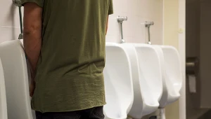 Nekrodruk z komarów i mleko karaluchów. Tegoroczni laureaci Ig Nobli
