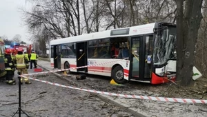 Autobus miejski zjechał z drogi i wbił się w drzewo!