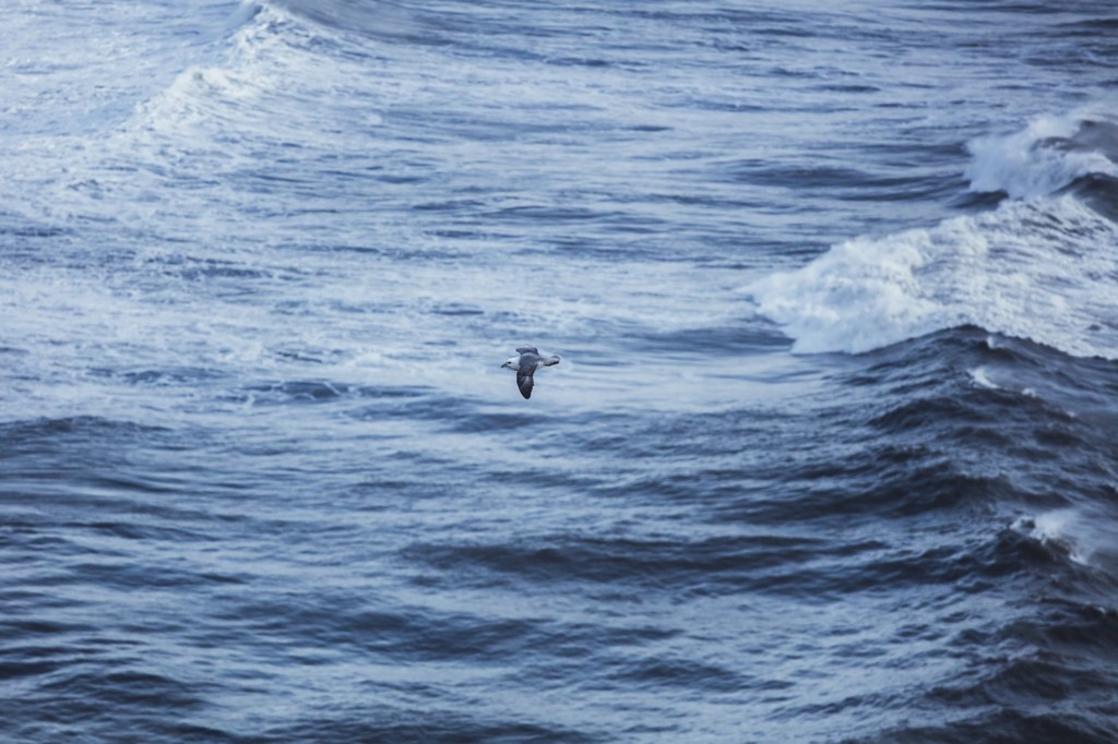 Północna część Oceanu Atlantyckiego.