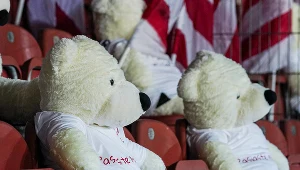Niecodzienny mecz w Krakowie. Rządziły będą... pluszaki