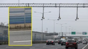 Wilk pojawił się przy trasie S8 na stołecznym Żoliborzu