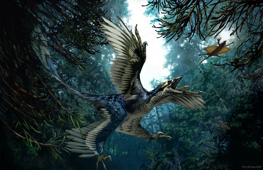 Microraptor wcale nie był gatunkiem nocnym