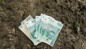 Rząd szykuje zmiany w systemie emerytalnym rolników. Zdj. ilustracyjne