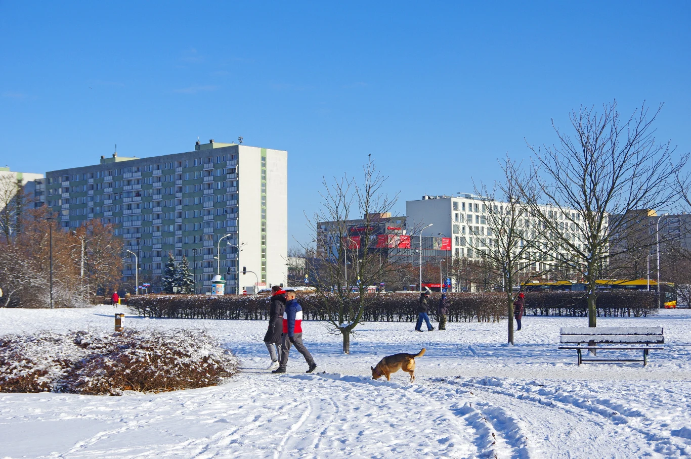 Rozrzucanie pokarmów nafaszerowanych gwoździami czy trutkami to prawdziwa plaga na wielu polskich osiedlach. Dobrze wiedzieć, jak chronić psa przed takimi "niespodziankami"
