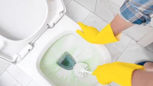Sprawdzone sposoby na czyszczenie toalety