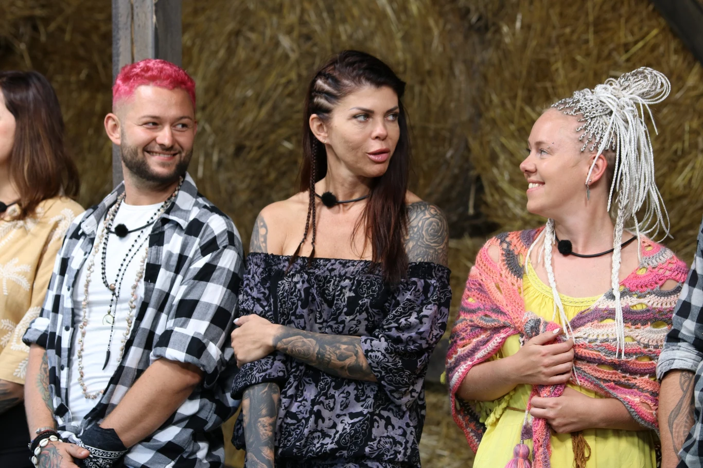 Program Farma: odcinek 4