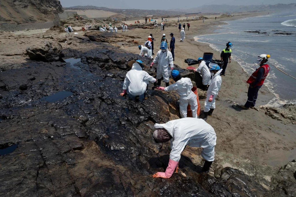 Oczyszczanie plaży w Peru Oczyszczanie plaży w Peru