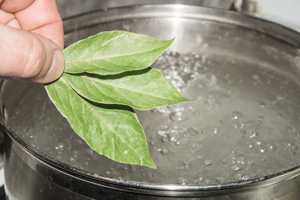 Rozkrusz i zalej wrzątkiem.  Napar z liści laurowych jest bardzo łatwy w przygotowaniu!