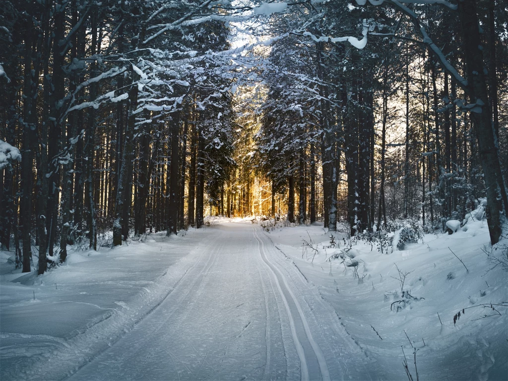 Jaka będzie pogoda w zimie 2022?