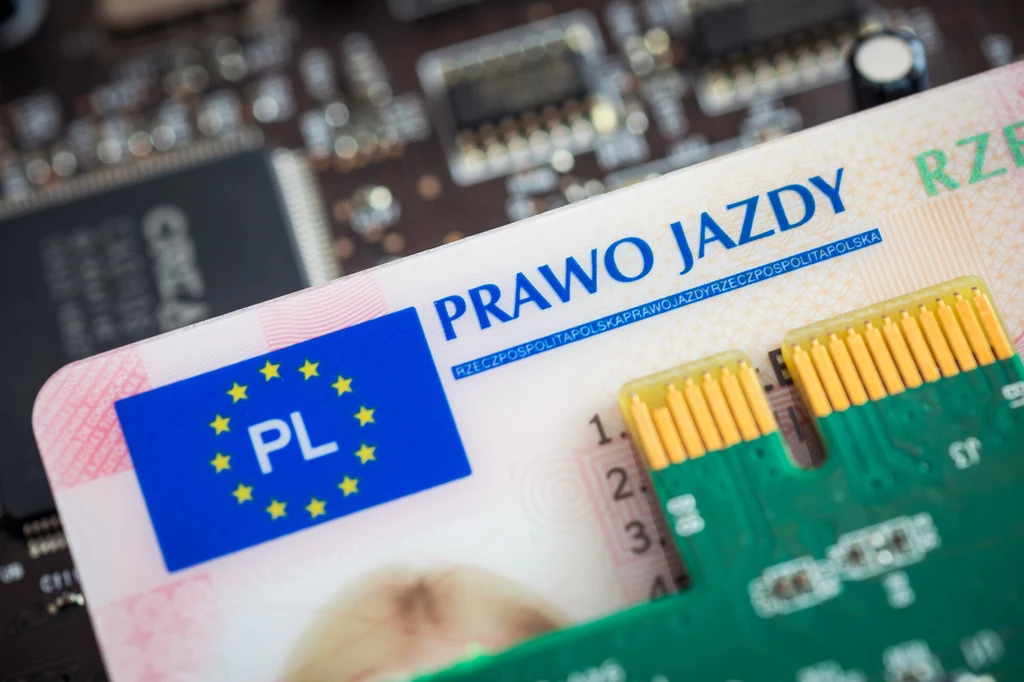 Przed sądem odpowiadać będzie 17 osób, które chcieli kupić przez prawo jazdy w internecie