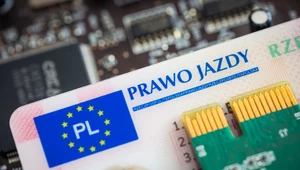 Chcieli kupić fałszywe prawo jazdy. Teraz grozi im 8 lat więzienia