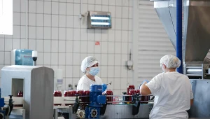 Ekonomiści spodziewają się utrzymania dobrych trendów na rynku pracy