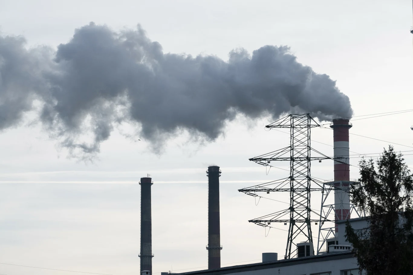 Nie ma jeszcze konkretnych propozycji rekompensat wzrostu cen energii elektrycznej i gazu Nie ma jeszcze konkretnych propozycji rekompensat wzrostu cen energii elektrycznej i gazu