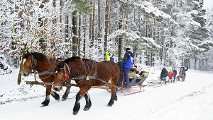 Kulig, zdj. ilustracyjne 