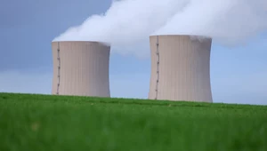 Niemcy nie chcą, aby Unia dawała pieniądze na elektrownie atomowe