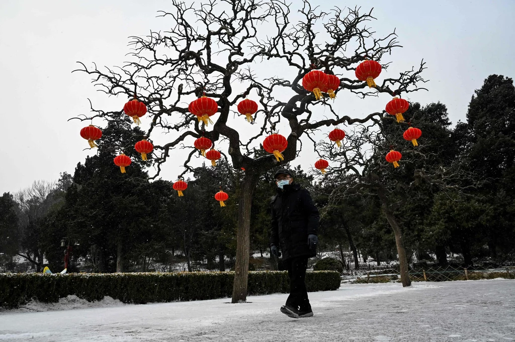 Drzewo w Pekinie przybrane latarniami