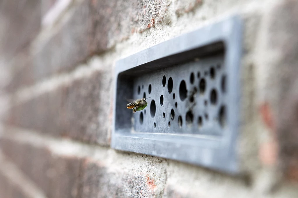 Cegły ze specjalnymi otworami, w których mogą gniazdować pszczoły muszą znaleźć się w każdym nowym budynku powstającym w mieście Brighton w południowej Anglii