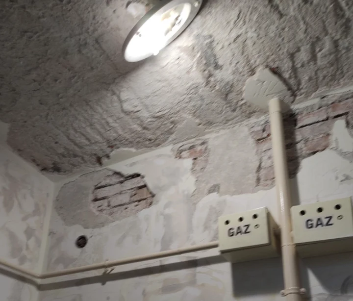 Fot.: https://www.instagram.com/p/CZJn1DKs_jc/ Fot.: https://www.instagram.com/p/CZJn1DKs_jc/