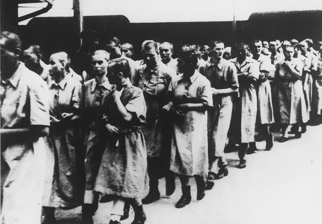 Więźniarki z ogolonymi głowami. Birkenau 1944 r.