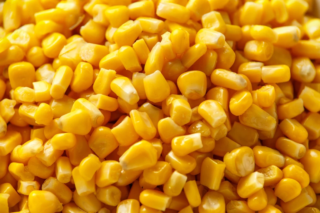 Kukurydza ma bardzo wysoki indeks glikemiczny 