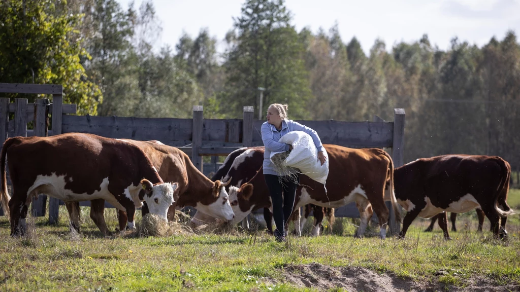 Na Podlasiu praca wre cały rok