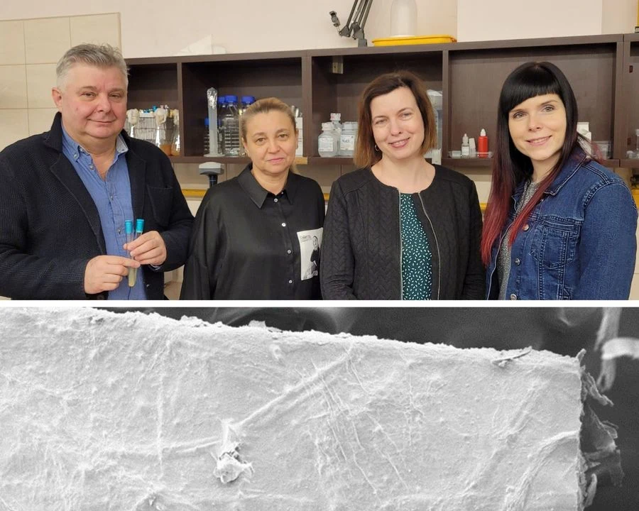 Odkrycia dokonał zespół w składzie: prof. Tomasz P. Olejnik, prof. PŁ, prof. Katarzyna Śliżewska, dr inż. Marta Pietras (Wydziału Biotechnologii i Nauk o Żywności) oraz dr inż. Magdalena Kmiotek (Centrum Papiernictwa i Poligrafii PŁ) Odkrycia dokonał zespół w składzie: prof. Tomasz P. Olejnik, prof. PŁ, prof. Katarzyna Śliżewska, dr inż. Marta Pietras (Wydziału Biotechnologii i Nauk o Żywności) oraz dr inż. Magdalena Kmiotek (Centrum Papiernictwa i Poligrafii PŁ)