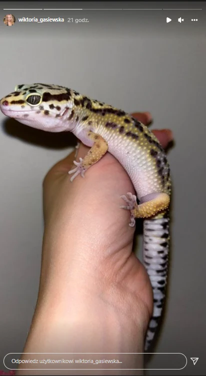 Wiktoria Gąsiewska na IG @wiktoria_gasiewska