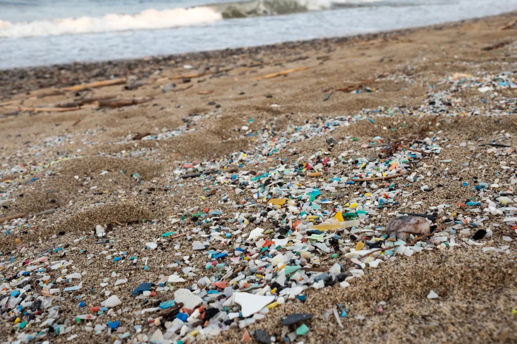 Mikroplastik jest jednym z najgroźniejszych problemów środowiska naturalnego. Naukowcy sądzą jednak, że może być on jeszcze poważniejszy niż nam się wydawało