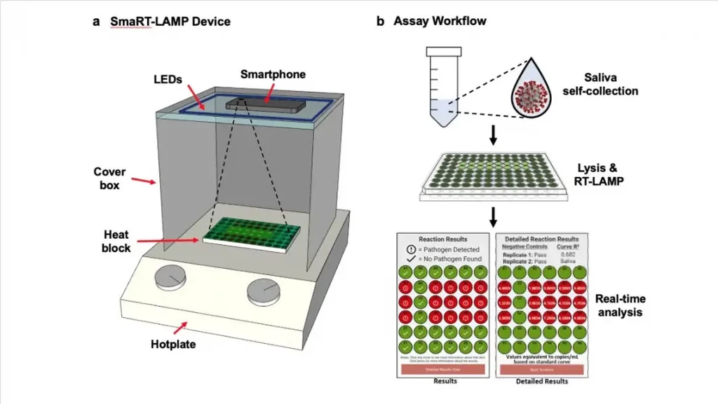 Tak wygląda cały system domowego testowania smaRT-LAMP