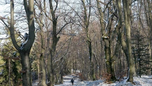 Szczyt górski Leskowiec we wschodniej części Beskidu Małego