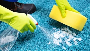 Czyszczenie dywanu sodą: Jak przeprowadzić, by usunąć brud i brzydki zapach?