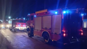 Zdjęcie ilustracyjne/W nocnym pożarze w Kole zginęły dwie osoby