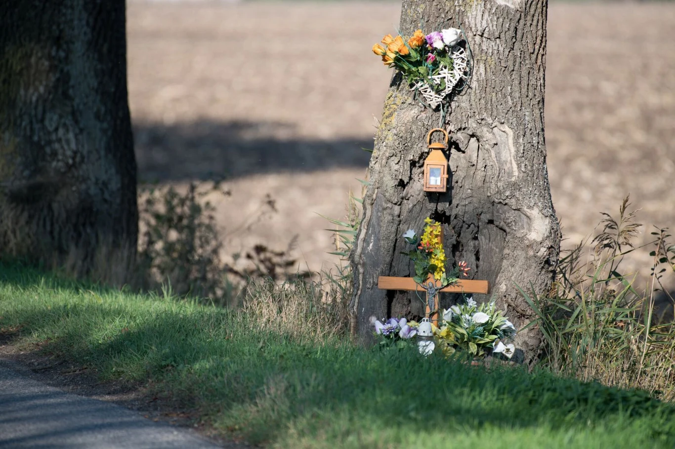 W styczniu - po wprowadzeniu nowego taryfikatora - wzrosła liczba wypadków, rannych i zabitych W styczniu - po wprowadzeniu nowego taryfikatora - wzrosła liczba wypadków, rannych i zabitych